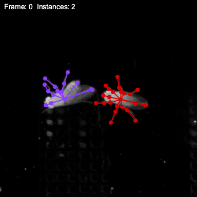 callback frame info