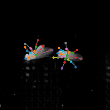 palette tableau10