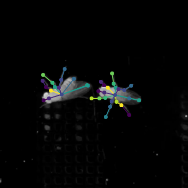 palette viridis