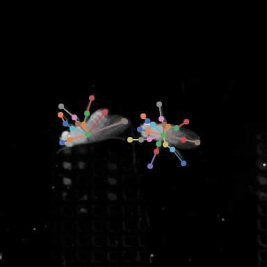palette seaborn