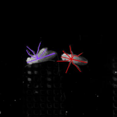 toggle edges only